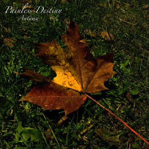 飞霄扒腿吃奶18禁🈲️视频
